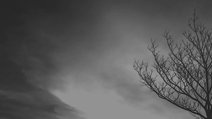 The mood of the sky dark