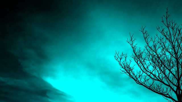 The mood of the sky dark