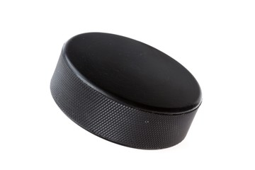 Hockey Puck