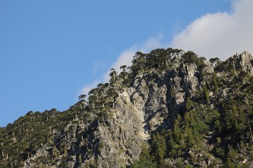 view of mountains