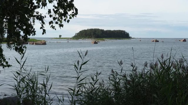 Coast of K&auml;smu, view to Devils island. Baltic Sea, Gulf of Finland.  Tilt up.