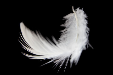 feather falling isolated on black background