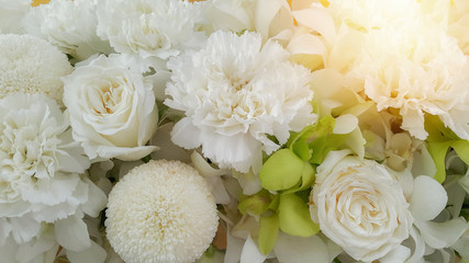 White nature flowers