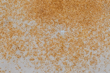 Rust on steel texture
