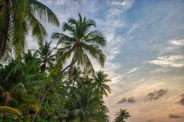Fototapeta na wymiar Dieses einzigartige Bild zeigt den gigantischen Sonnenuntergang auf den Malediven. eineinzig artiges Farbschauspiel wie der Himmel sich Orange färbt