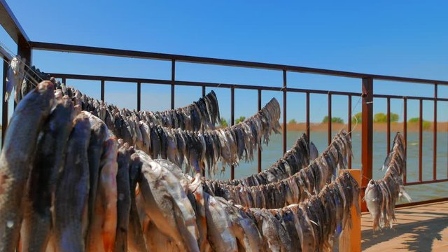 Sunny day in the fishing village. Fish is dried on the pier on the river bank. Hot spring on the Volga River. Russia, Astrakhan region, near the town of Kamyzyak. 