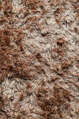 Brown fabric carpet with long pile texture