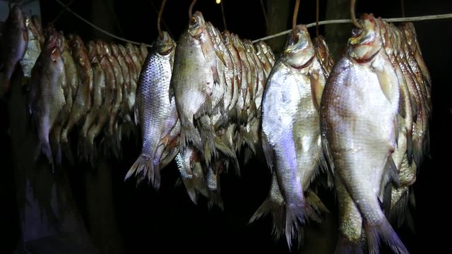 Late evening in the fishing village. Dried fish hanging on the street near the house.