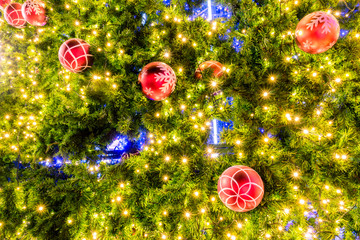 Obraz na płótnie Canvas Decorative Christmas tree with red ball and light