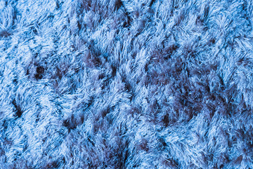Blue fabric carpet with long pile texture