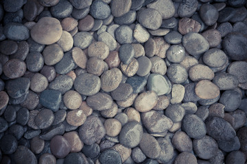 Wet rock river texture