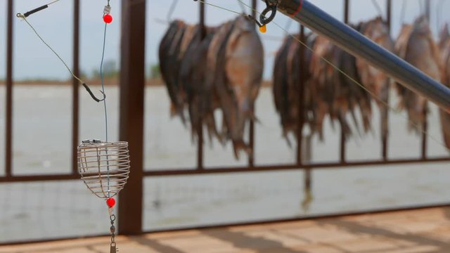 Hot spring on the Volga River. Feeder fishing tackle on a background of fish hung out in the sun.