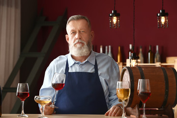 Mature sommelier working in wine cellar