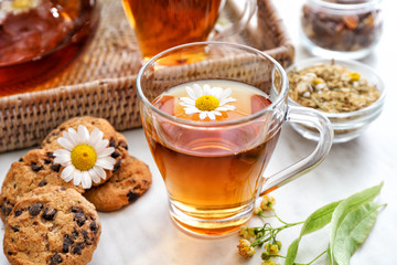 Cup of tasty chamomile tea with cookies on light table