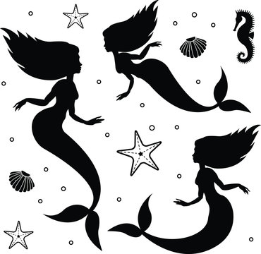 Vector flat black set of mermaid silhouette starfish and shell isolated on white background
