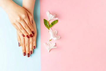 Female hands with red manicure on a pink and blue background, top view	