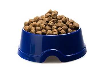 Dog Bowl Filled with dry dog food