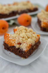 home made chocolate apricot cake with sweet streusel