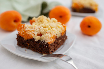 home made chocolate apricot cake with sweet streusel