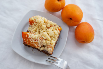 home made chocolate apricot cake with sweet streusel