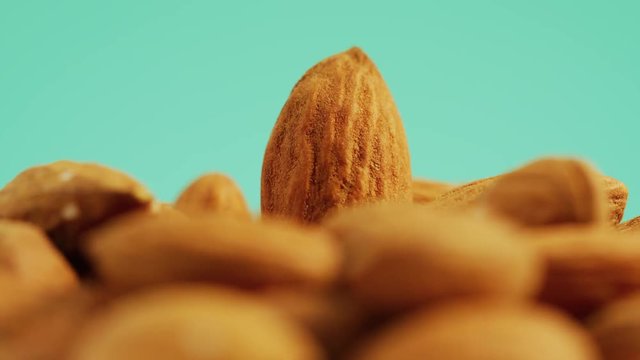 Close up view of unshelled almonds