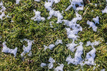 Grass with snow texture