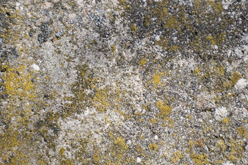 Stone surface texture with moss