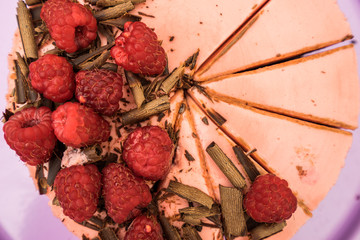 Himbeertorte mit Schokoladensplitter