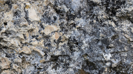 Granite surface texture with moss