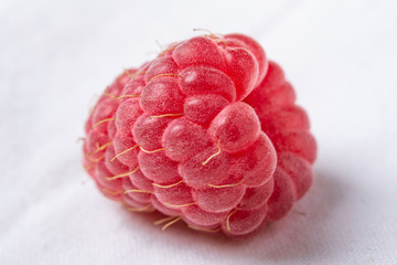 Fresh red raspberry on white background. Close up.