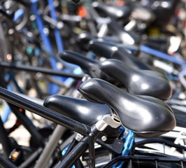 Unzählige, geparkte Fahrräder mit schwarzen Satteln