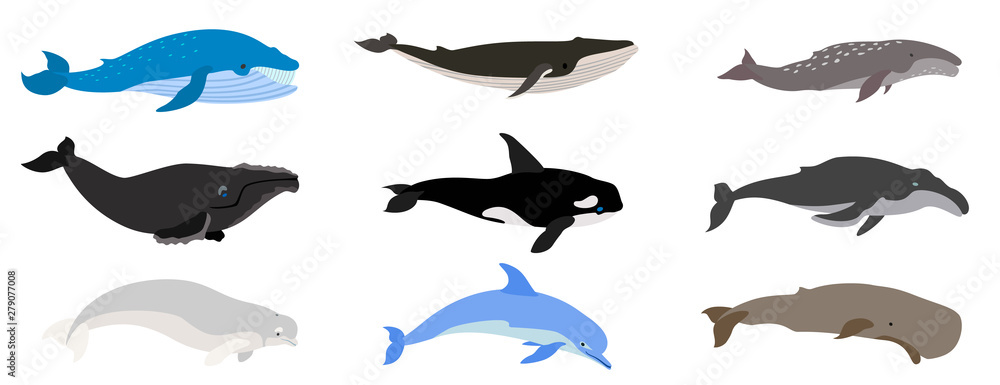Poster whale icons set. flat set of whale vector icons for web design