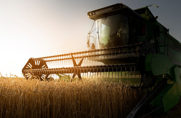 Harvester at work in summer sun
