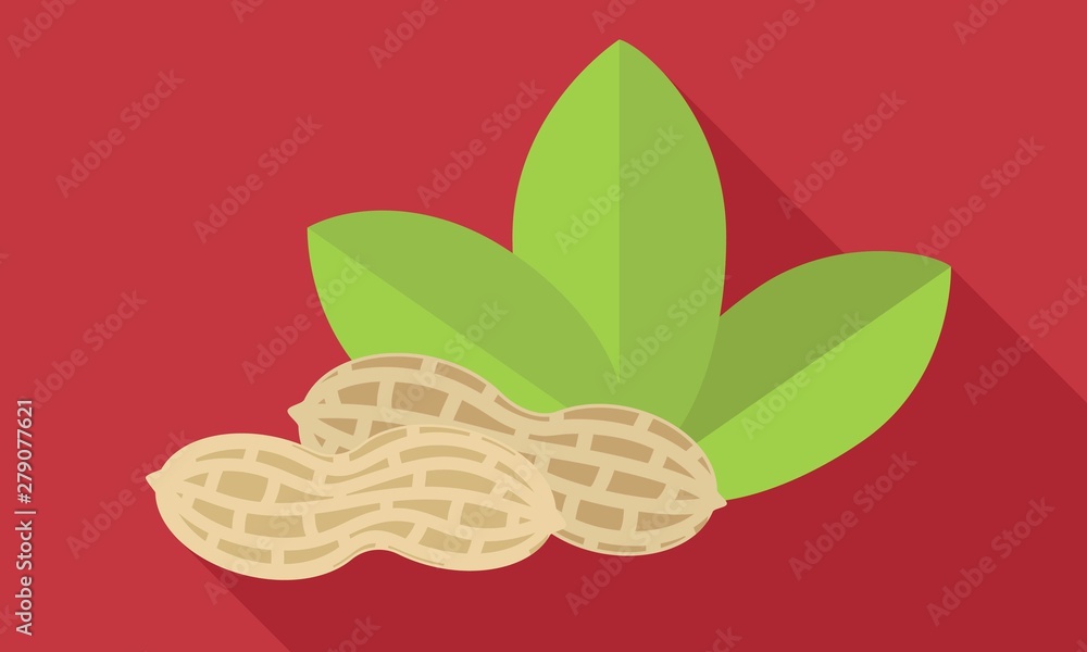 Poster whole peanut shell icon. flat illustration of whole peanut shell vector icon for web design