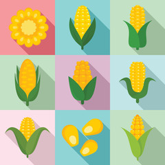 Corn icons set. Flat set of corn vector icons for web design