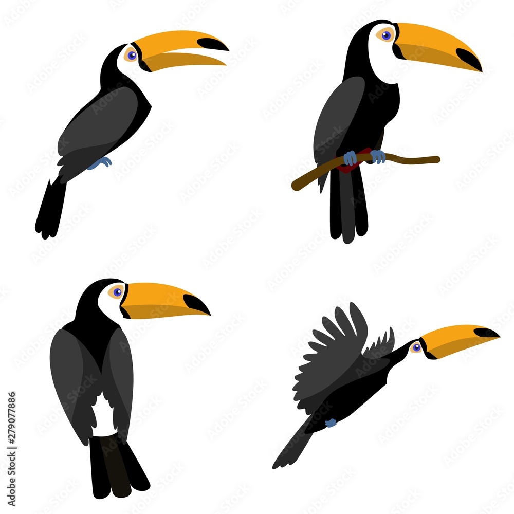 Poster toucan icons set. flat set of toucan vector icons for web design