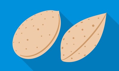 Almond nut icon. Flat illustration of almond nut vector icon for web design