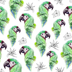 Hand drawn seamless pattern with tropical birds and exotic flowers on white background. Watercolor green parrots mixed with graphic images of tropical blossoms.