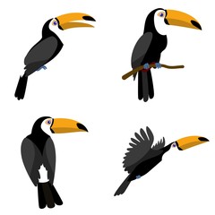 Toucan icons set. Flat set of toucan vector icons for web design