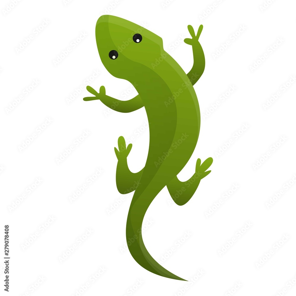 Poster top view reptile icon. cartoon of top view reptile vector icon for web design isolated on white back