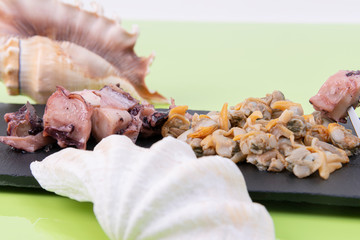 Close-up of tasty seafood, cockles served with potón on a black plate with sea shells decorating the photo.