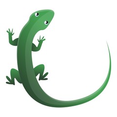 Green top view lizard icon. Cartoon of green top view lizard vector icon for web design isolated on white background
