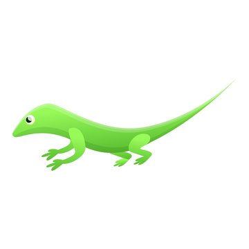 Green lizard icon. Cartoon of green lizard vector icon for web design isolated on white background