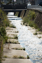 Fototapeta premium 岡本周辺の街並み