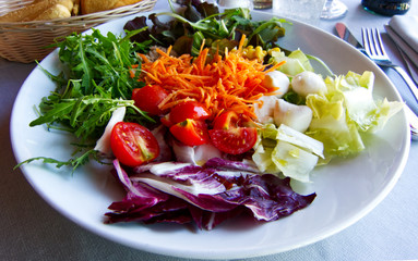 Fresh salad with tomatoes, tuna, chicory and carrots