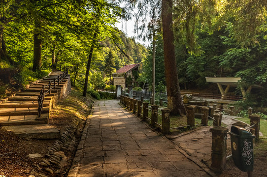 Bridge in the woods