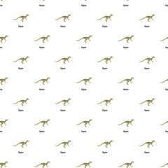 Fototapeta premium Raptor pattern seamless vector repeat for any web design