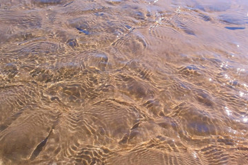 Shallow water in river flowing on sand bottom. Sun glare on water surface, nature on sunny summer day.