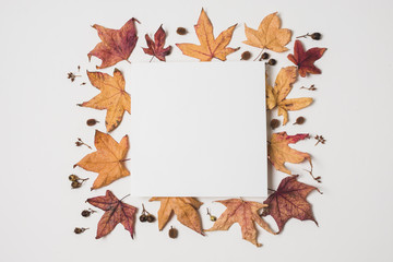 Blank copy space with autumn leaves frame