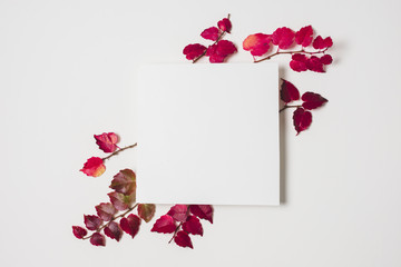 Blank copy space with purple autumn leaves frame